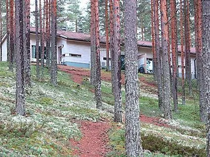 Ahveroinen A3