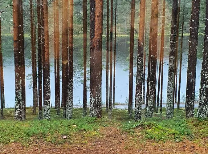 Διαμέρισμα Ahveroinen A3 Rokua